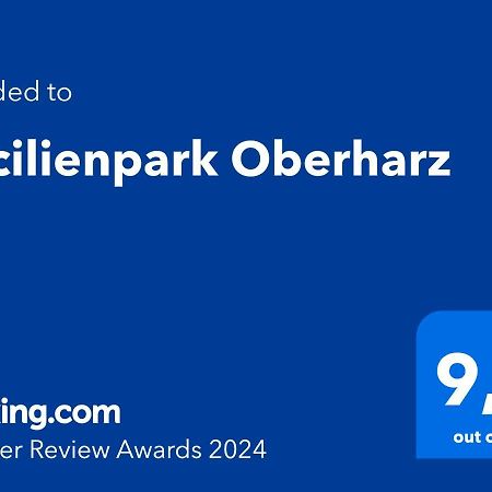 Villa Cecilienpark Oberharz Goslar Exterior foto