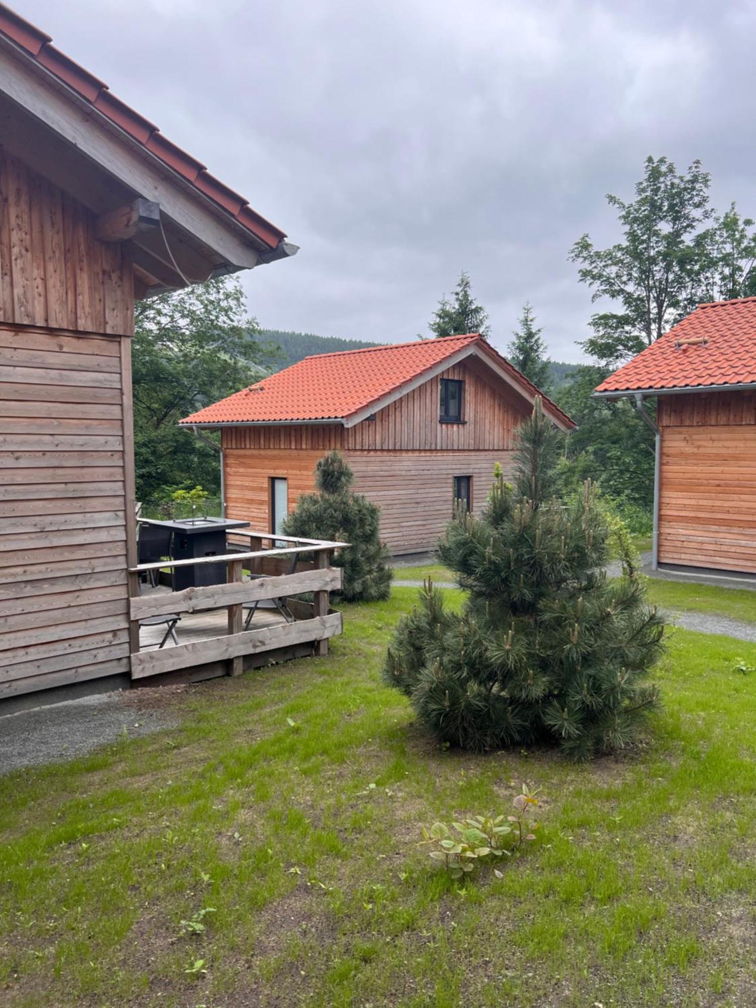 Villa Cecilienpark Oberharz Goslar Exterior foto